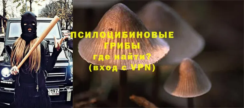 мега рабочий сайт  Елец  Галлюциногенные грибы Magic Shrooms 